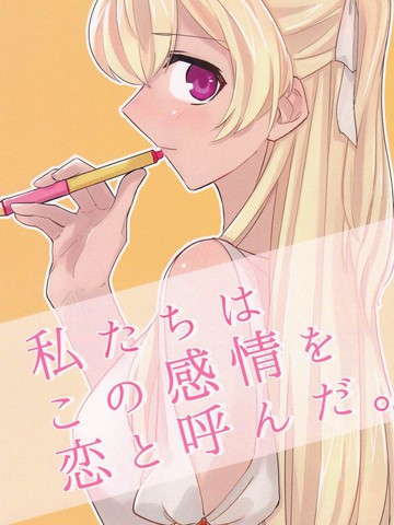 私たちはこの感情を恋と呼んだ漫画封面