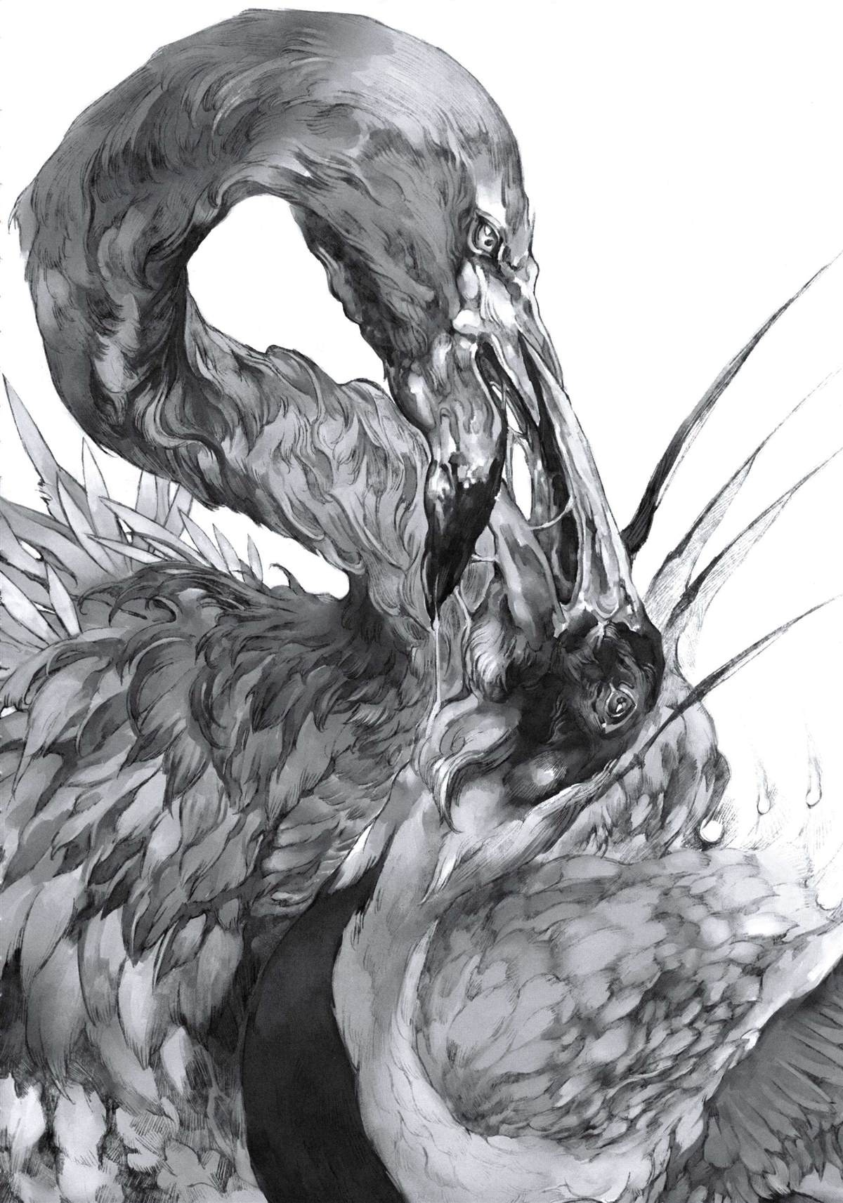 Forbidden Bird Boy Love Paradice Reguined 第13页