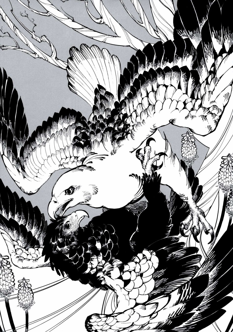 Forbidden Bird Boy Love Paradice Reguined 第16页