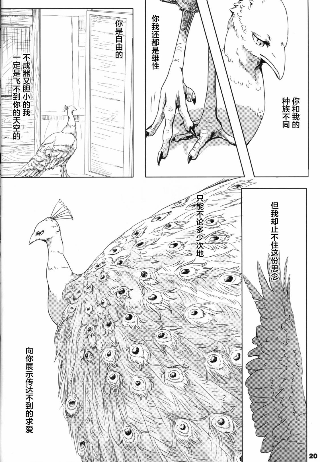 Forbidden Bird Boy Love Eden 第20页