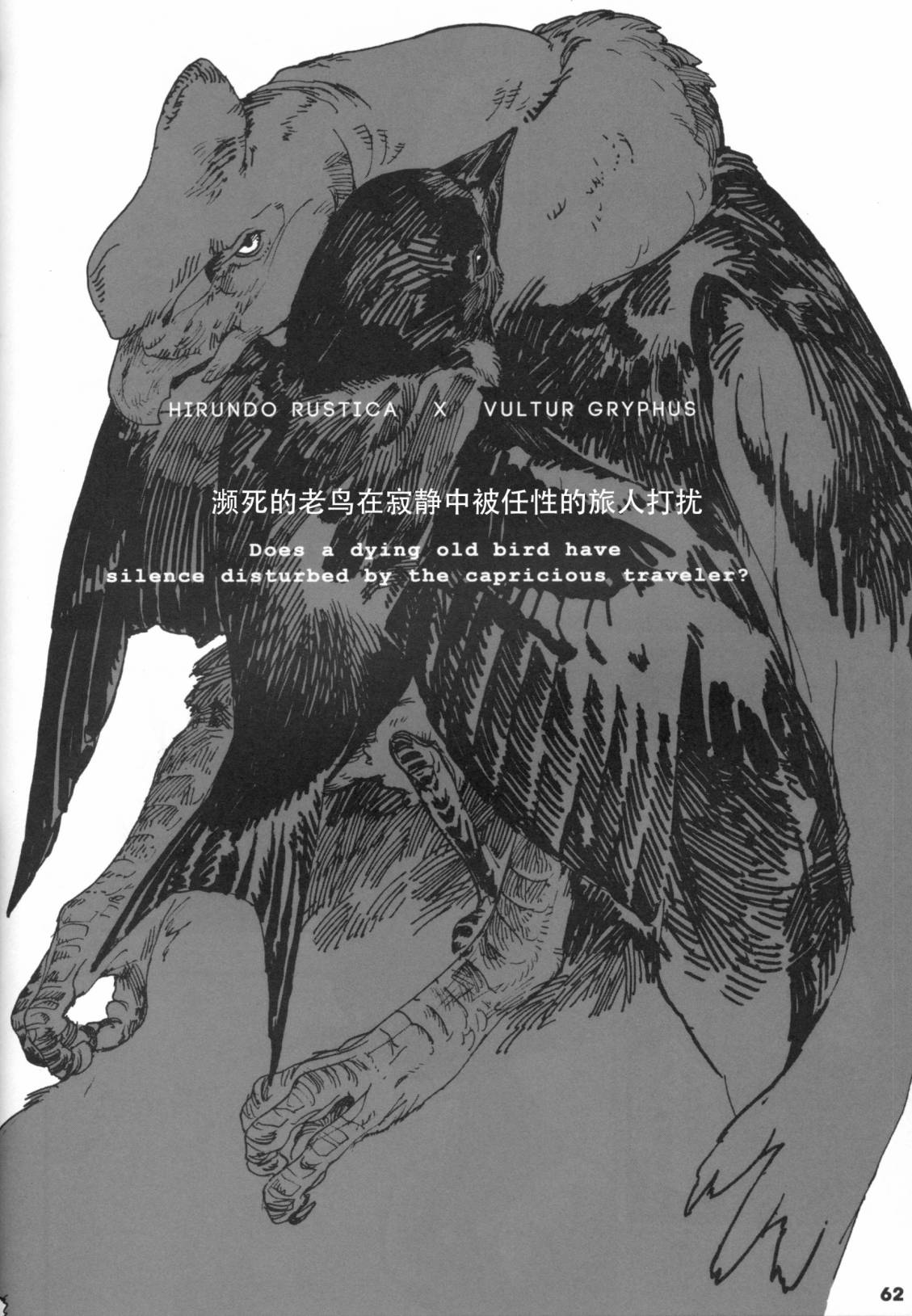 Forbidden Bird Boy Love Eden 第62页
