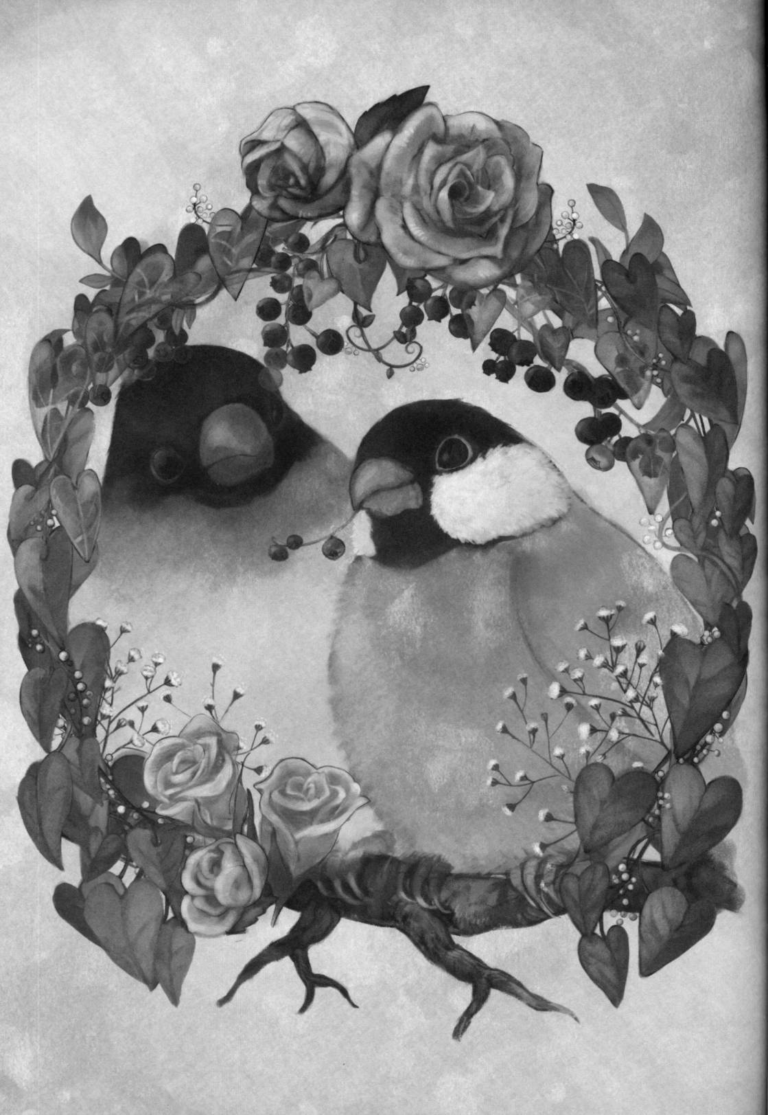 Forbidden Bird Boy Love Eden 第8页
