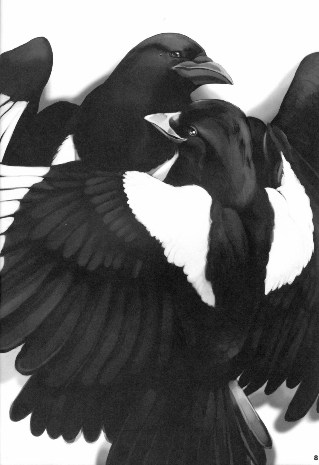 Forbidden Bird Boy Love Eden 第9页