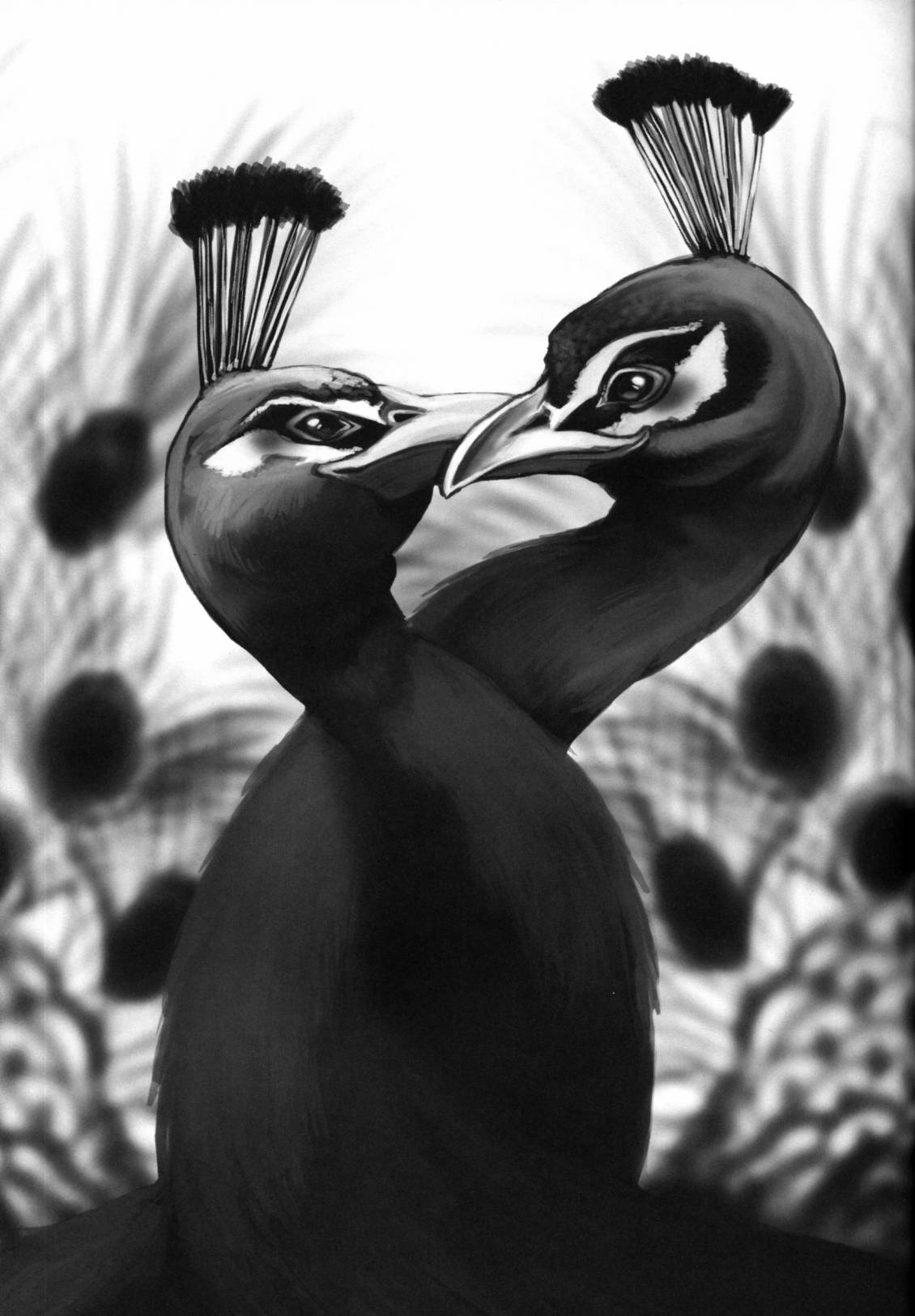 Forbidden Bird Boy Love Eden 第10页