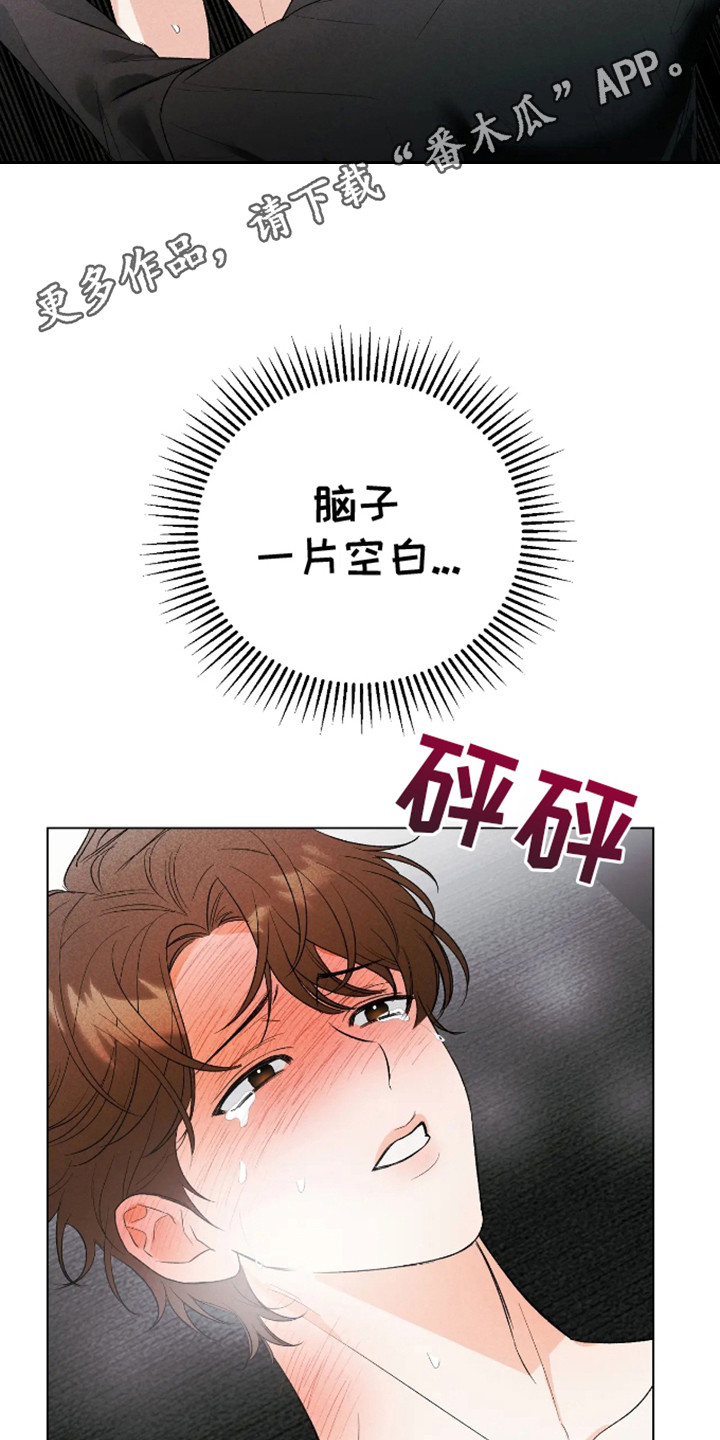坏苹果 第24话 第5页