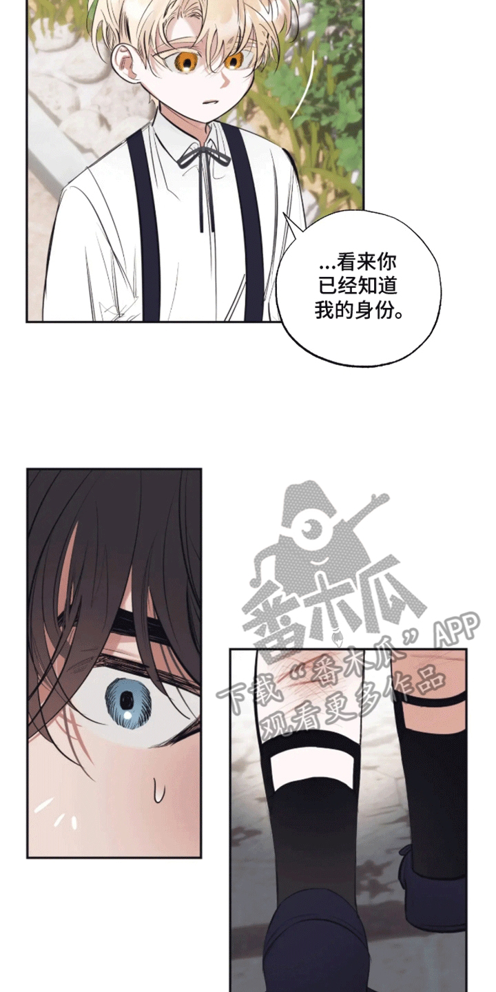 坏苹果 第39话 第13页