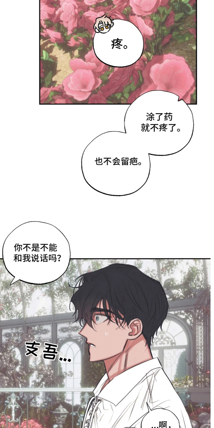 坏苹果 第41话 第2页