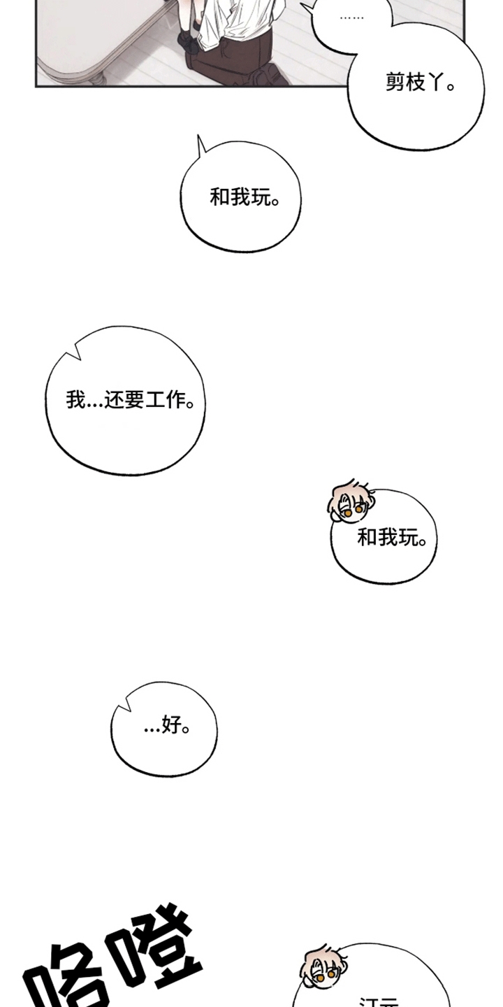 坏苹果 第41话 第5页