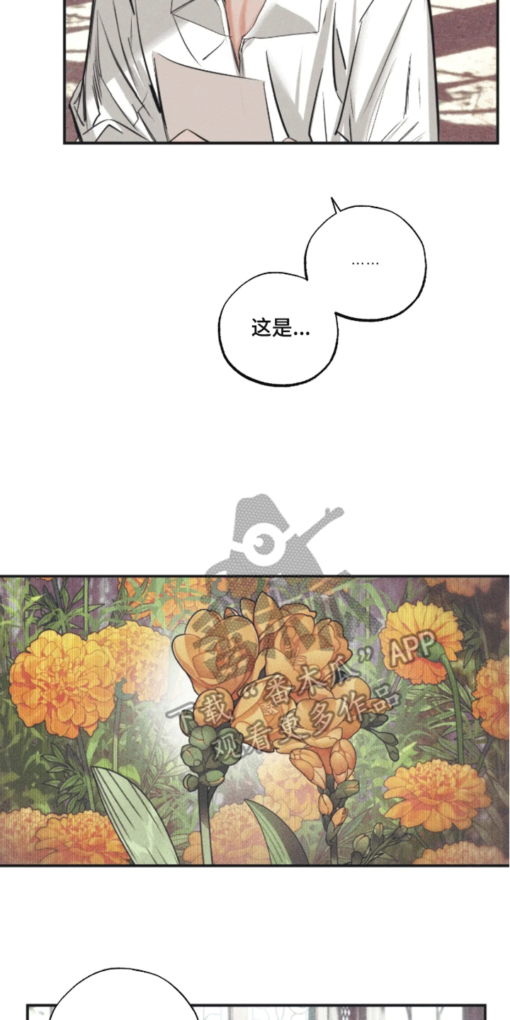 坏苹果 第47话 第16页