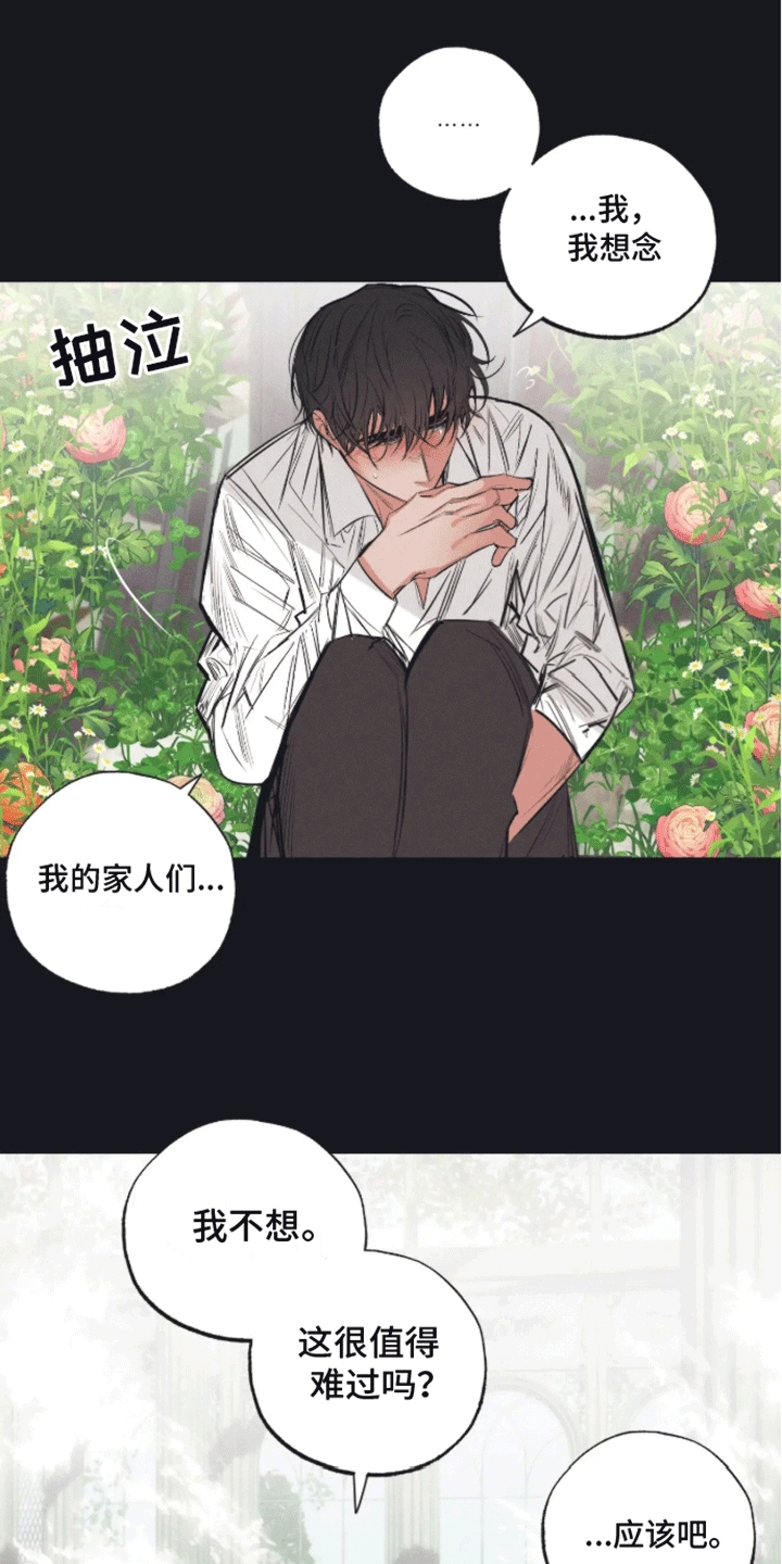 坏苹果 第48话 第12页