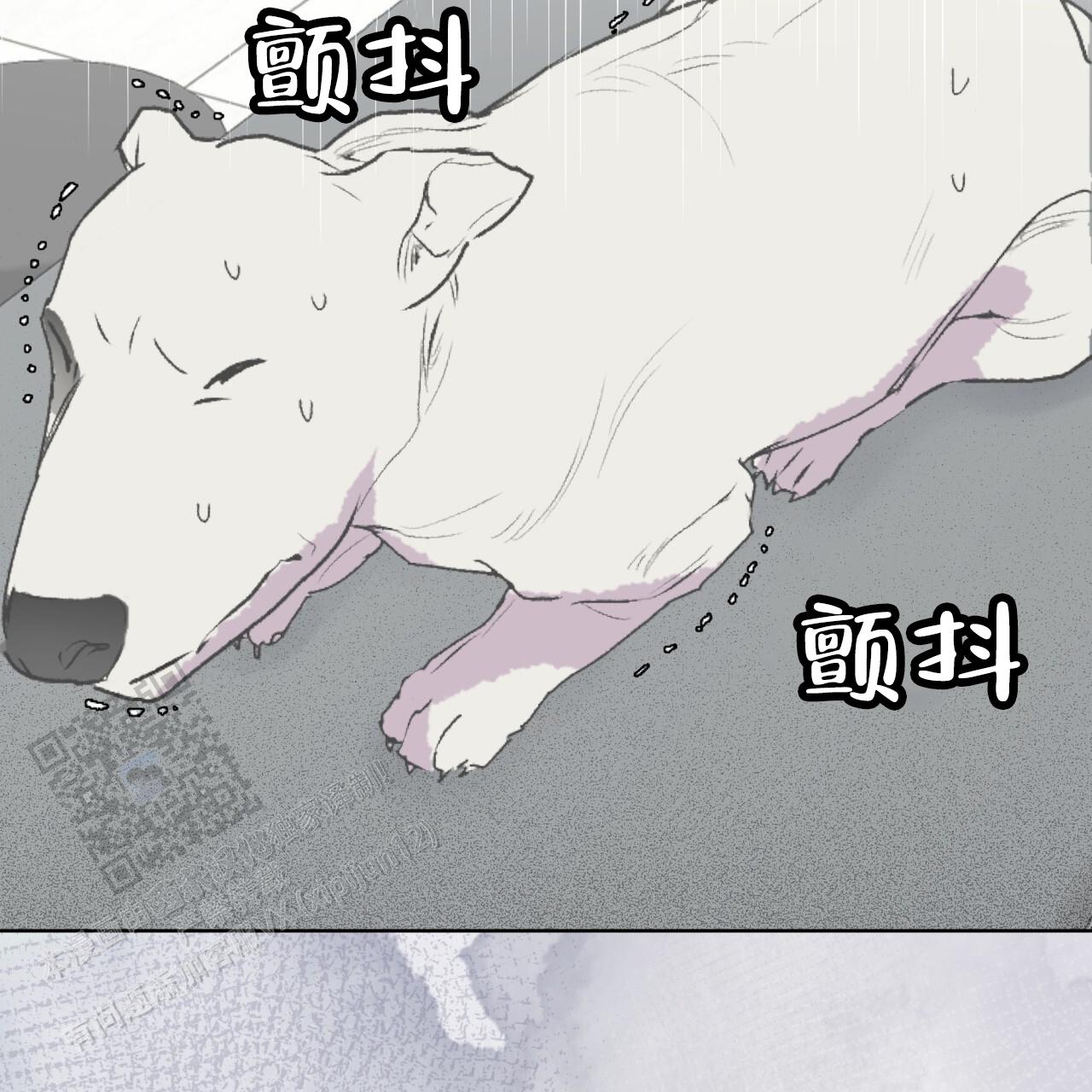 呼吸的记忆 第4话 第23页