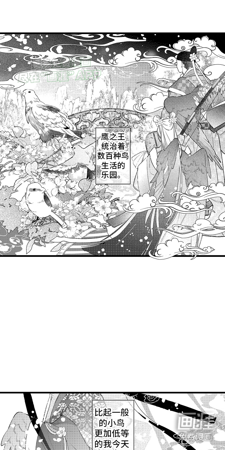 鹰王宠溺 第1话 第1页