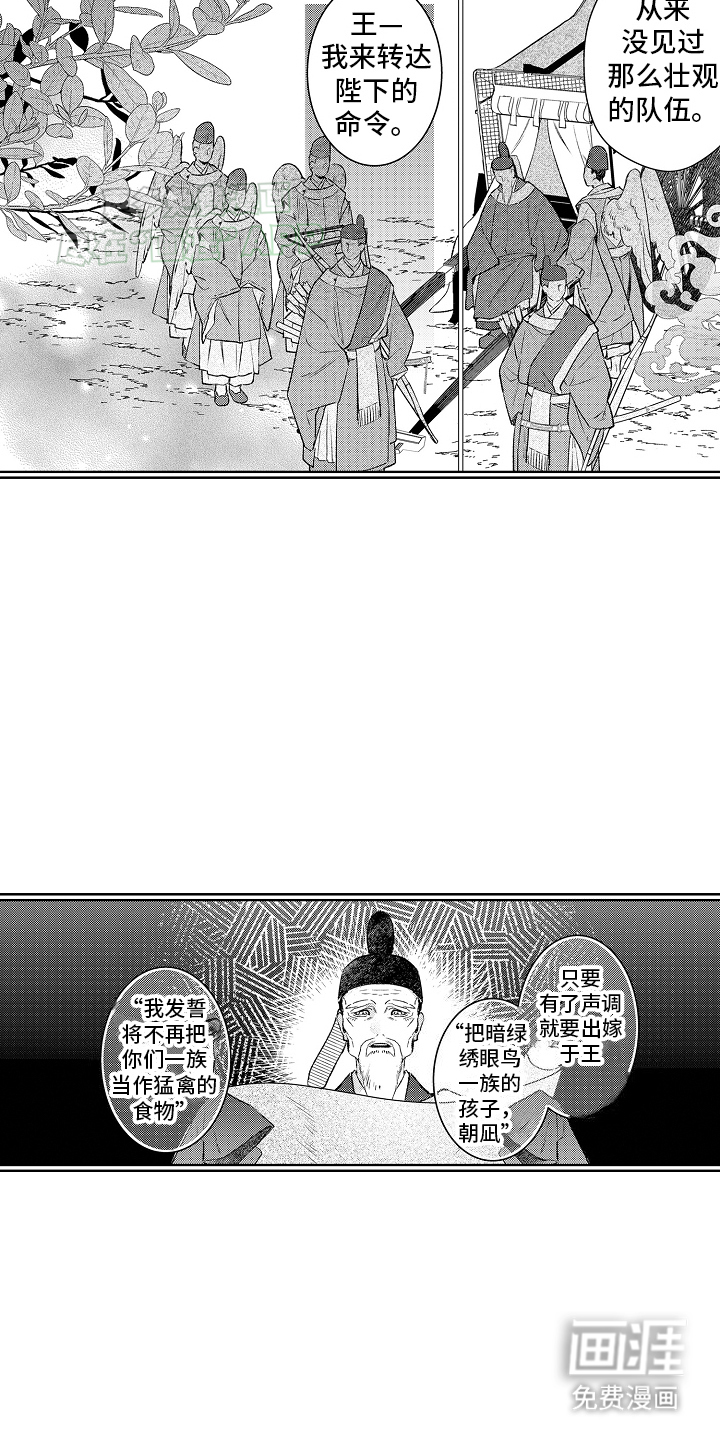 鹰王宠溺 第1话 第4页