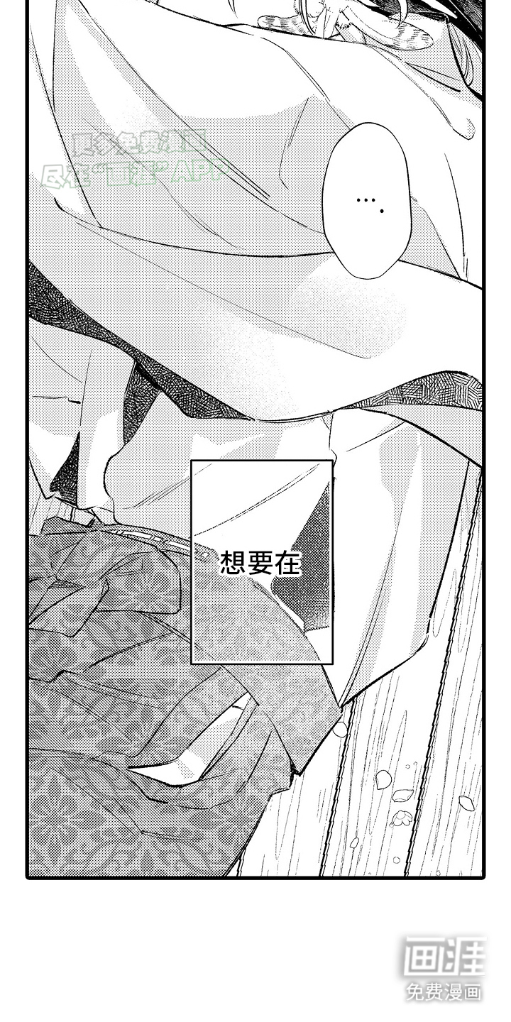 鹰王宠溺 第4话 第3页