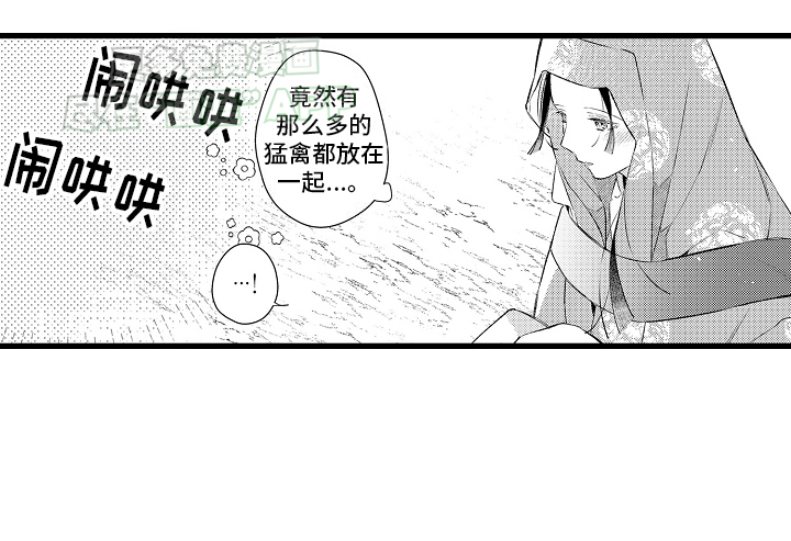 鹰王宠溺 第11话 第16页