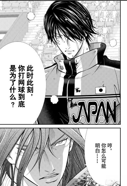 新网球王子 第453话 第9页