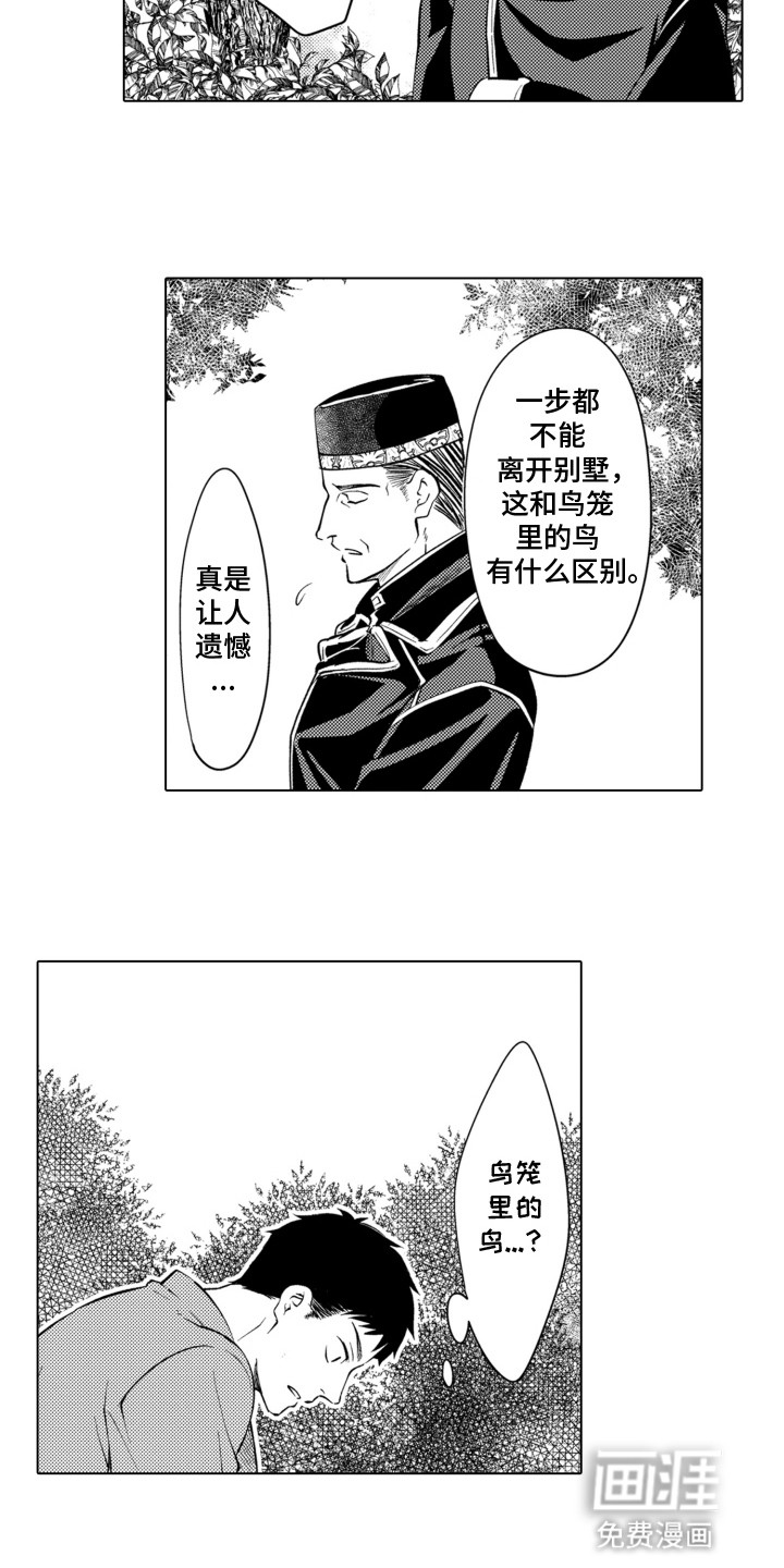 关在笼子里的金丝雀 第11话 第2页