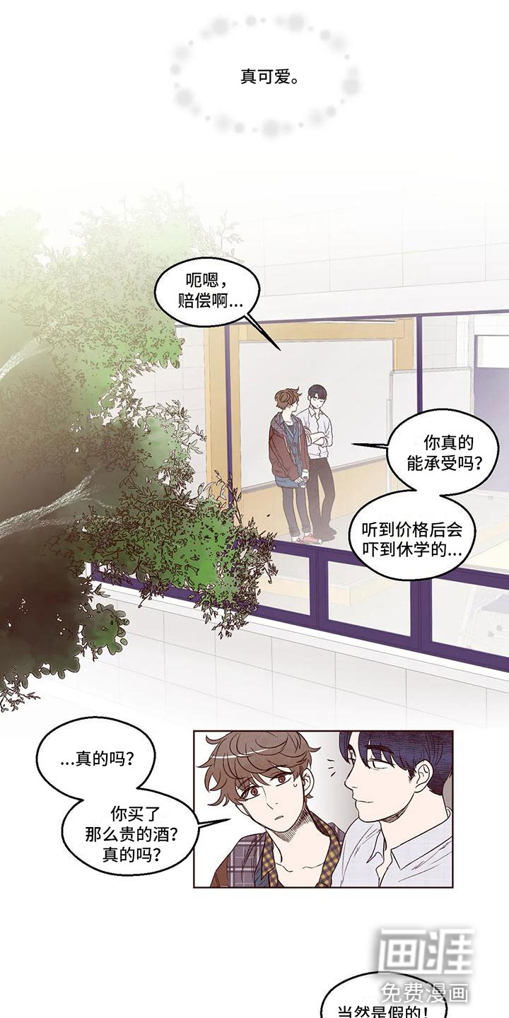 我的十二位哥哥 第6话 第5页