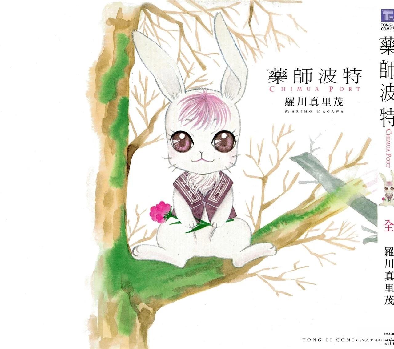 药师波特 第1卷 第1页