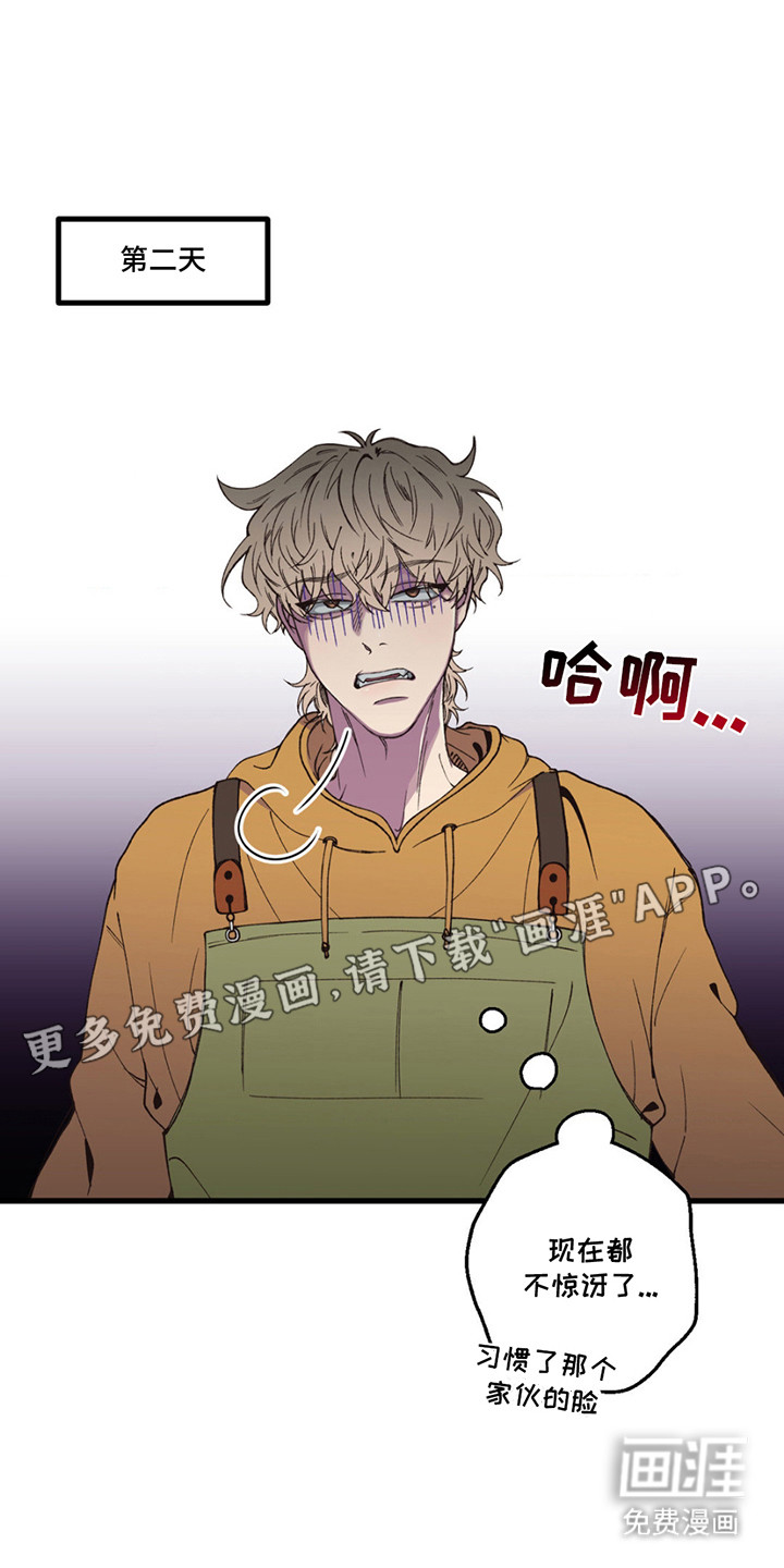 消极的恋爱 第12话 第13页
