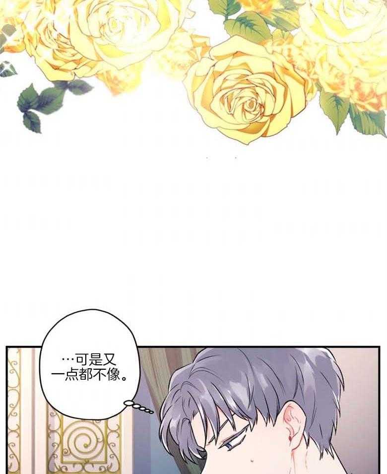 被男主领养了 第23话 逃跑的贵族小姐 第13页