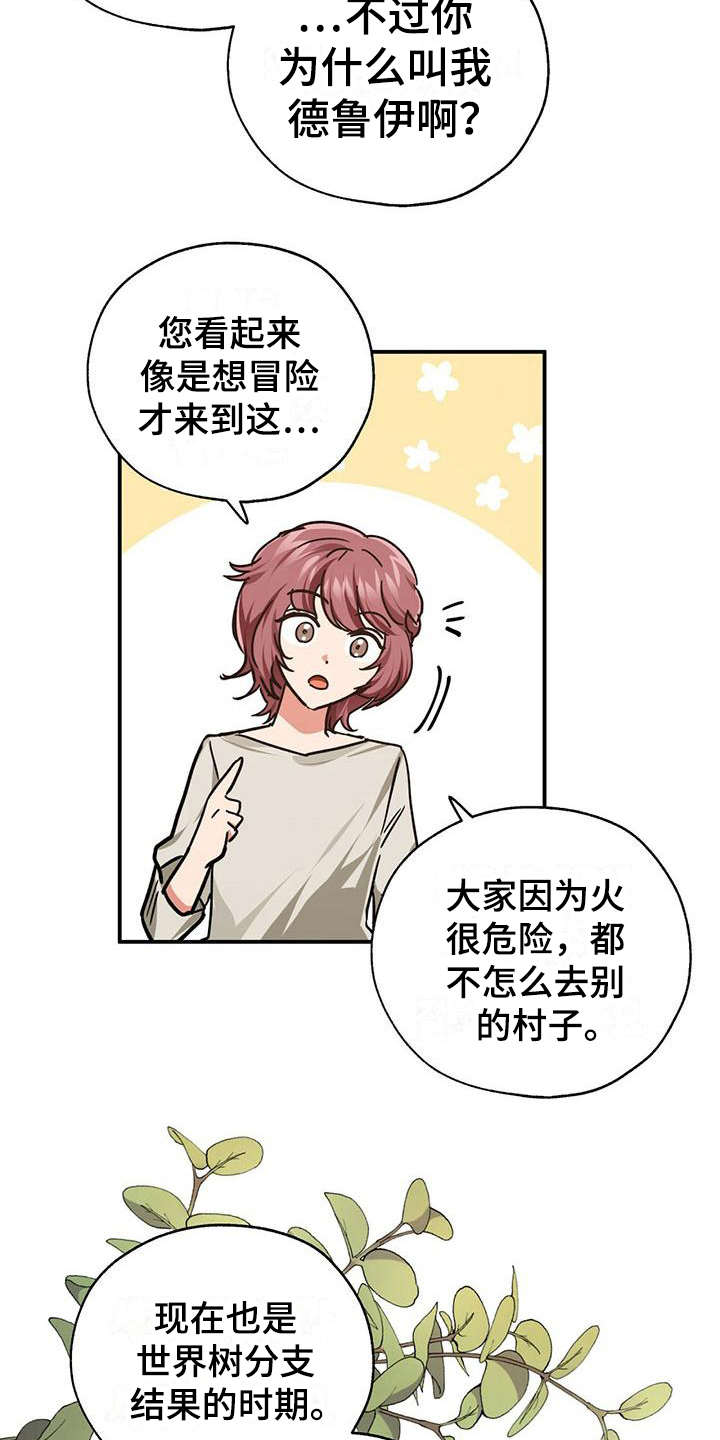无限钻石 第6章：德鲁伊 第11页