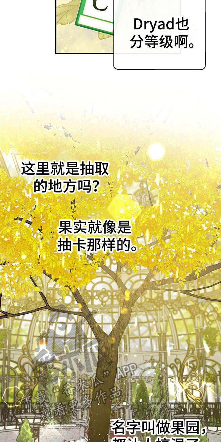 无限钻石 第12章：果园 第13页