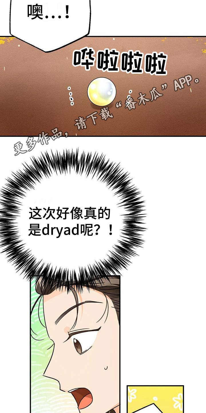 无限钻石 第16章：珍稀 第5页