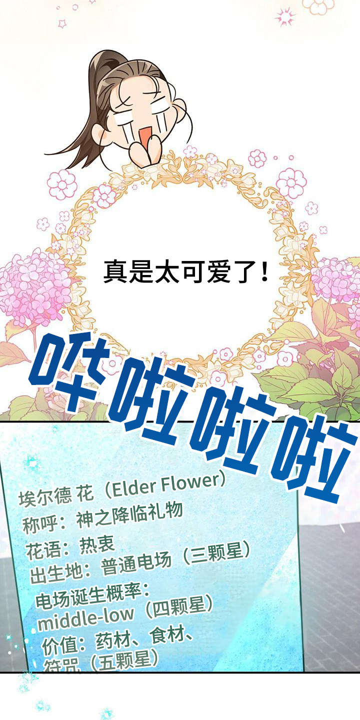无限钻石 第16章：珍稀 第7页
