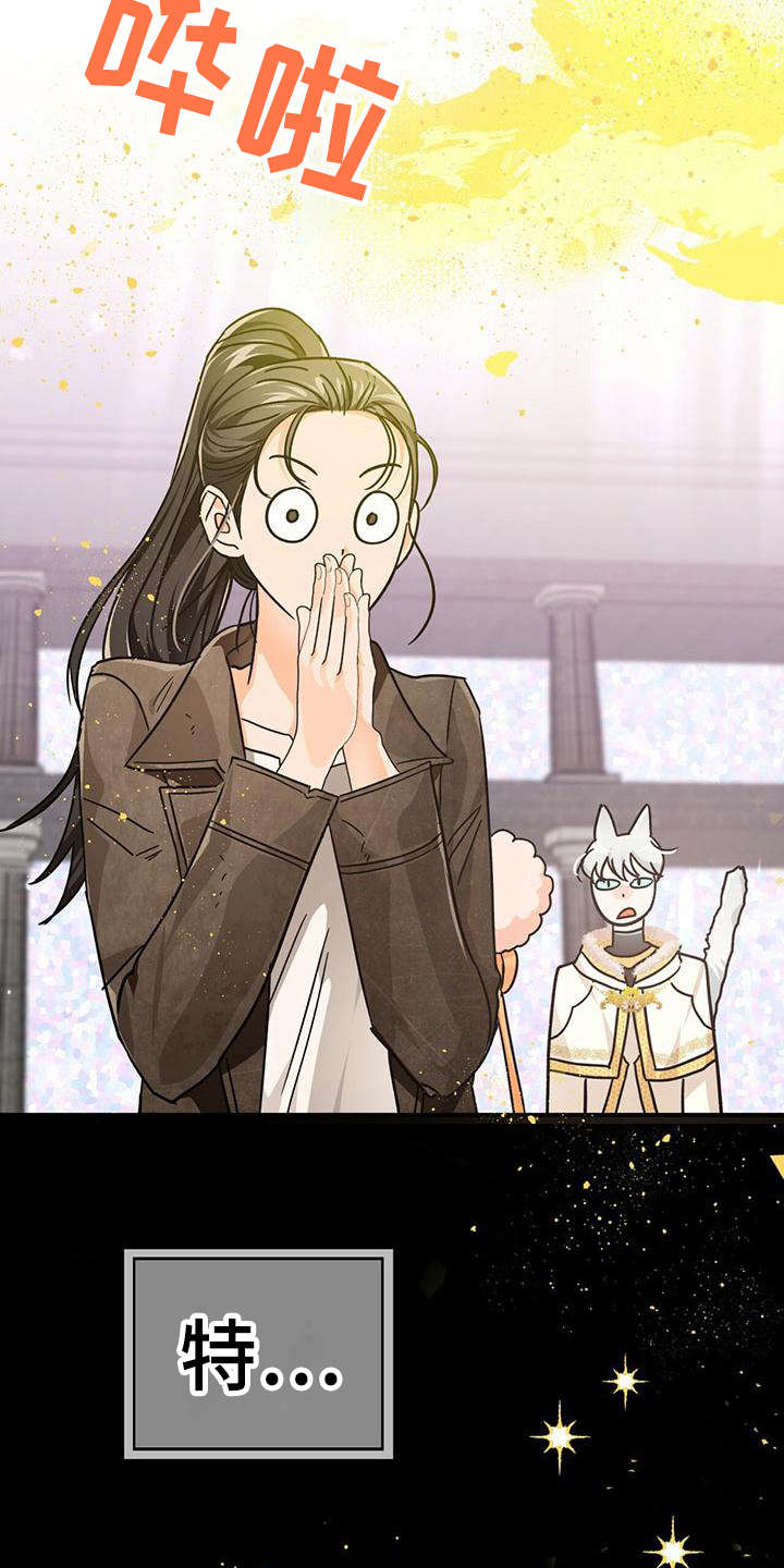 无限钻石 第21章：特级 第4页
