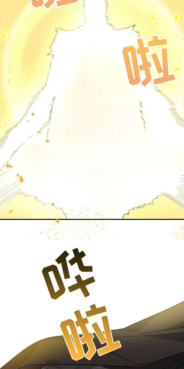 无限钻石 第22章：骑士 第2页