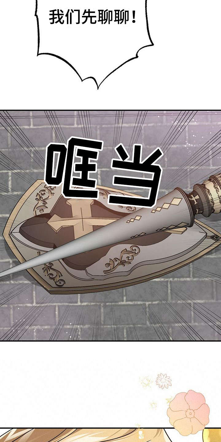 无限钻石 第22章：骑士 第14页