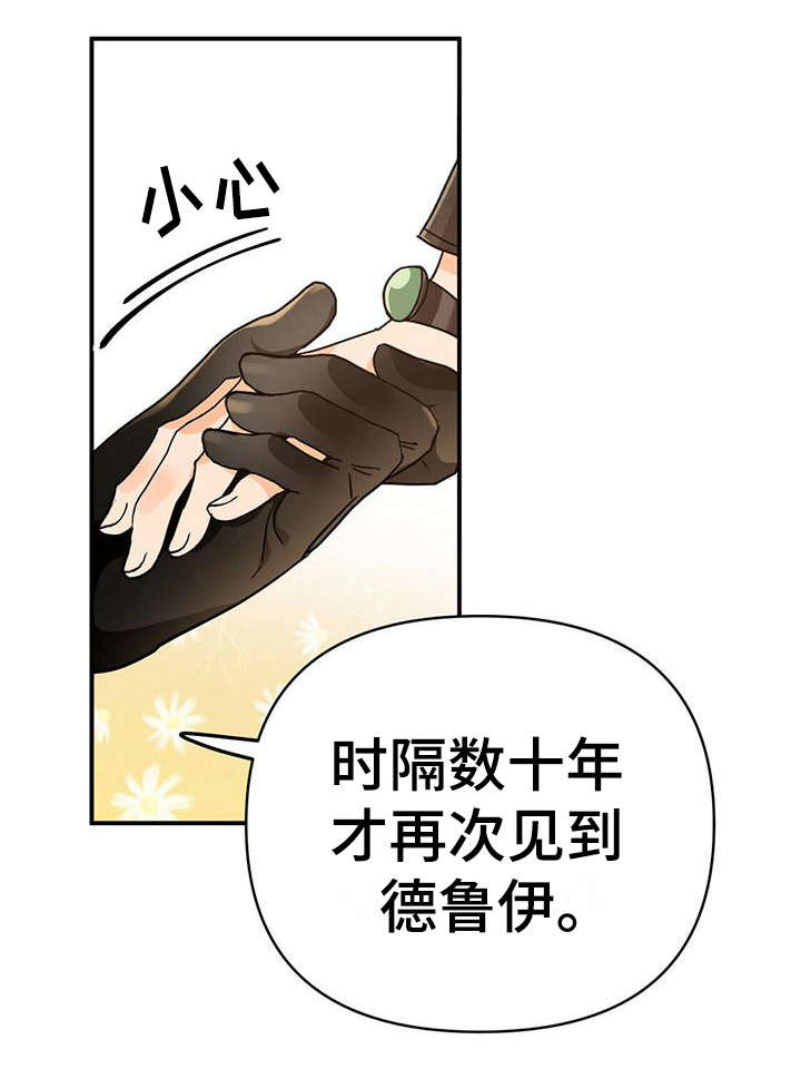 无限钻石 第22章：骑士 第17页