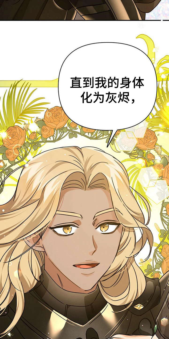 无限钻石 第22章：骑士 第19页