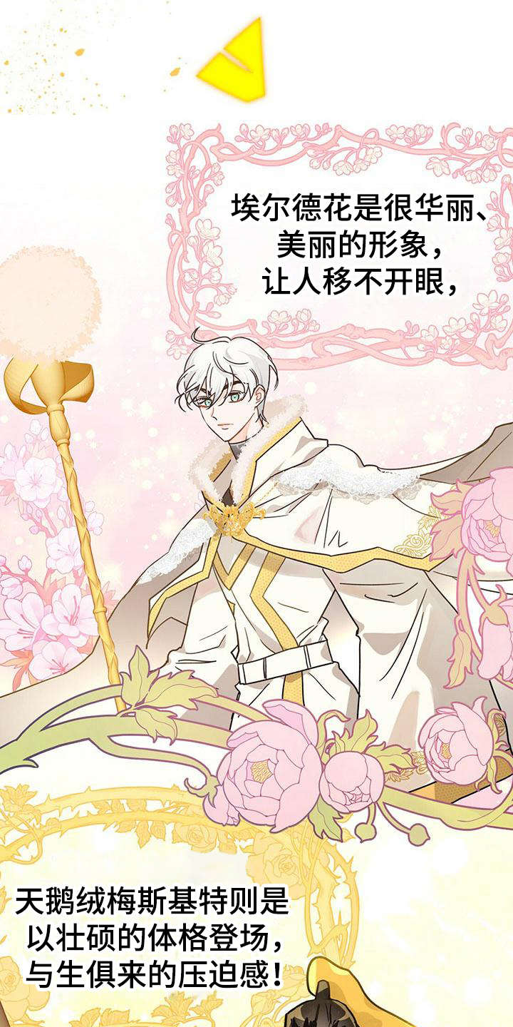 无限钻石 第22章：骑士 第8页