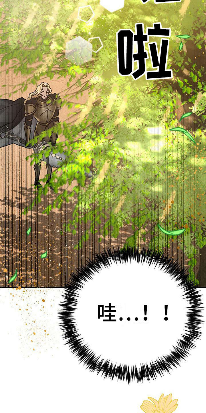 无限钻石 第25章：本体 第18页