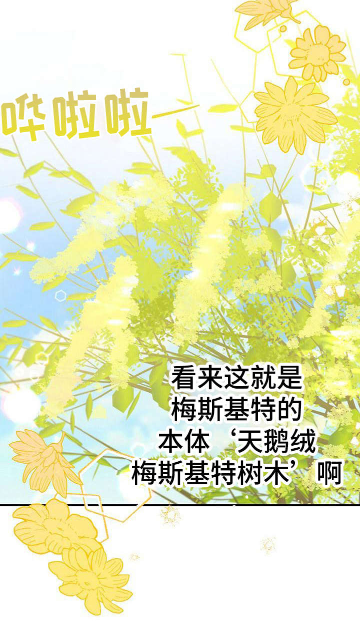 无限钻石 第25章：本体 第19页