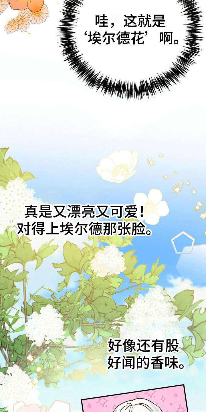 无限钻石 第26章：返回旅馆 第3页