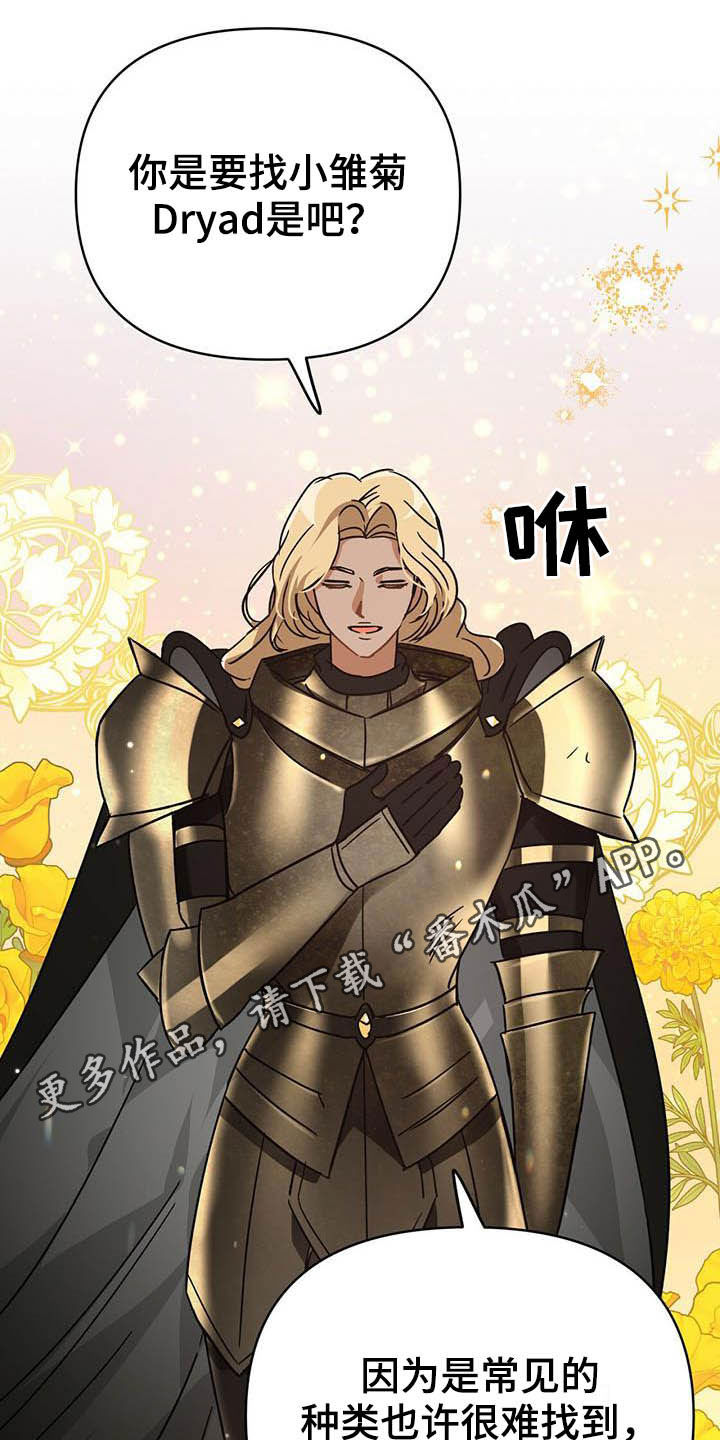 无限钻石 第29章：寻找小雏菊 第1页