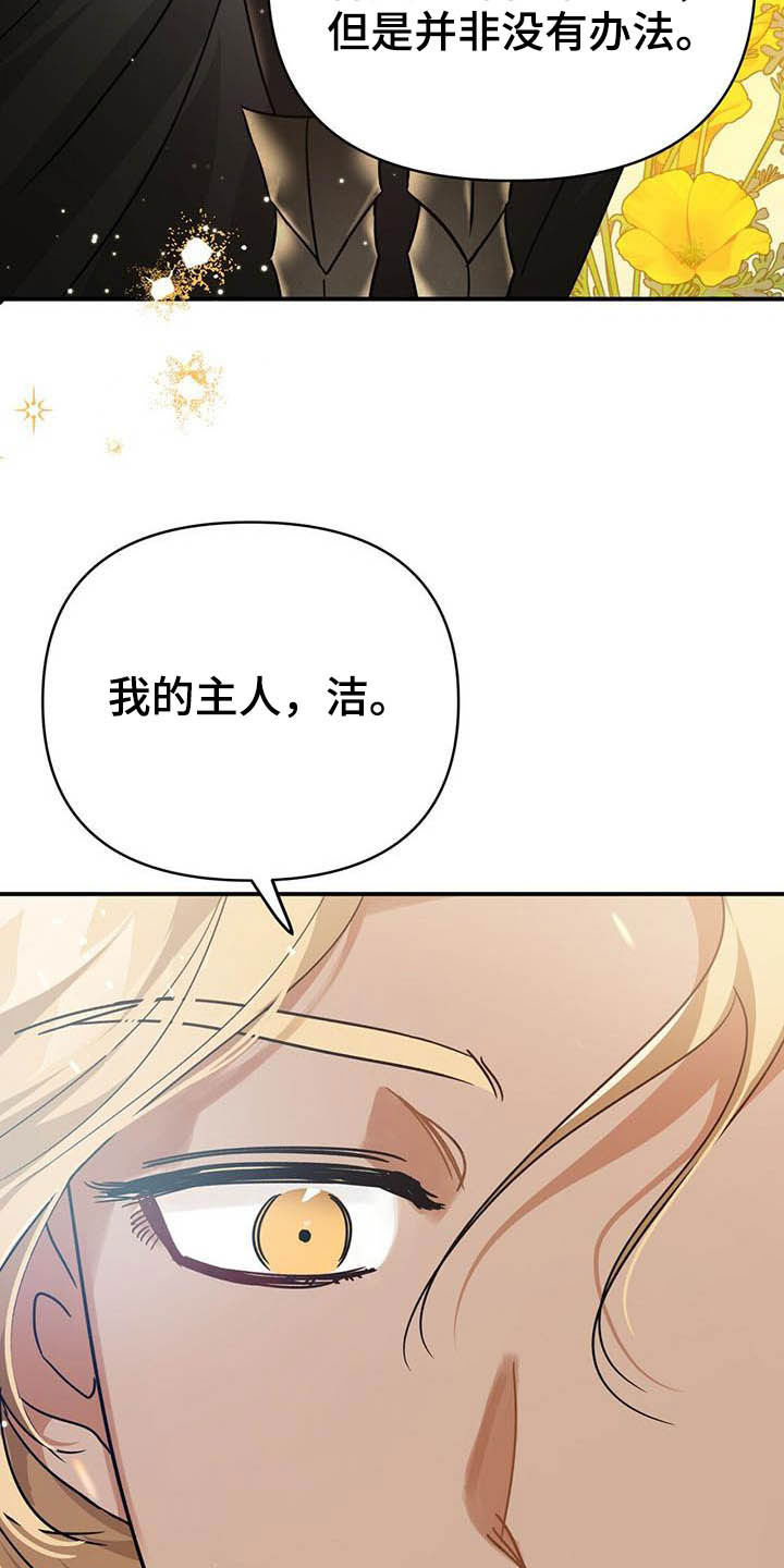 无限钻石 第29章：寻找小雏菊 第2页