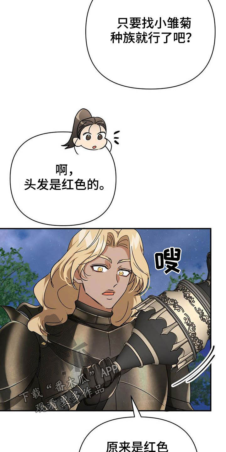 无限钻石 第29章：寻找小雏菊 第14页