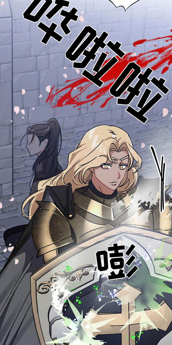 无限钻石 第32章：舍身相救 第31页