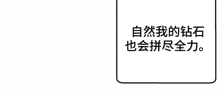 无限钻石 第38章：收购果实 第14页