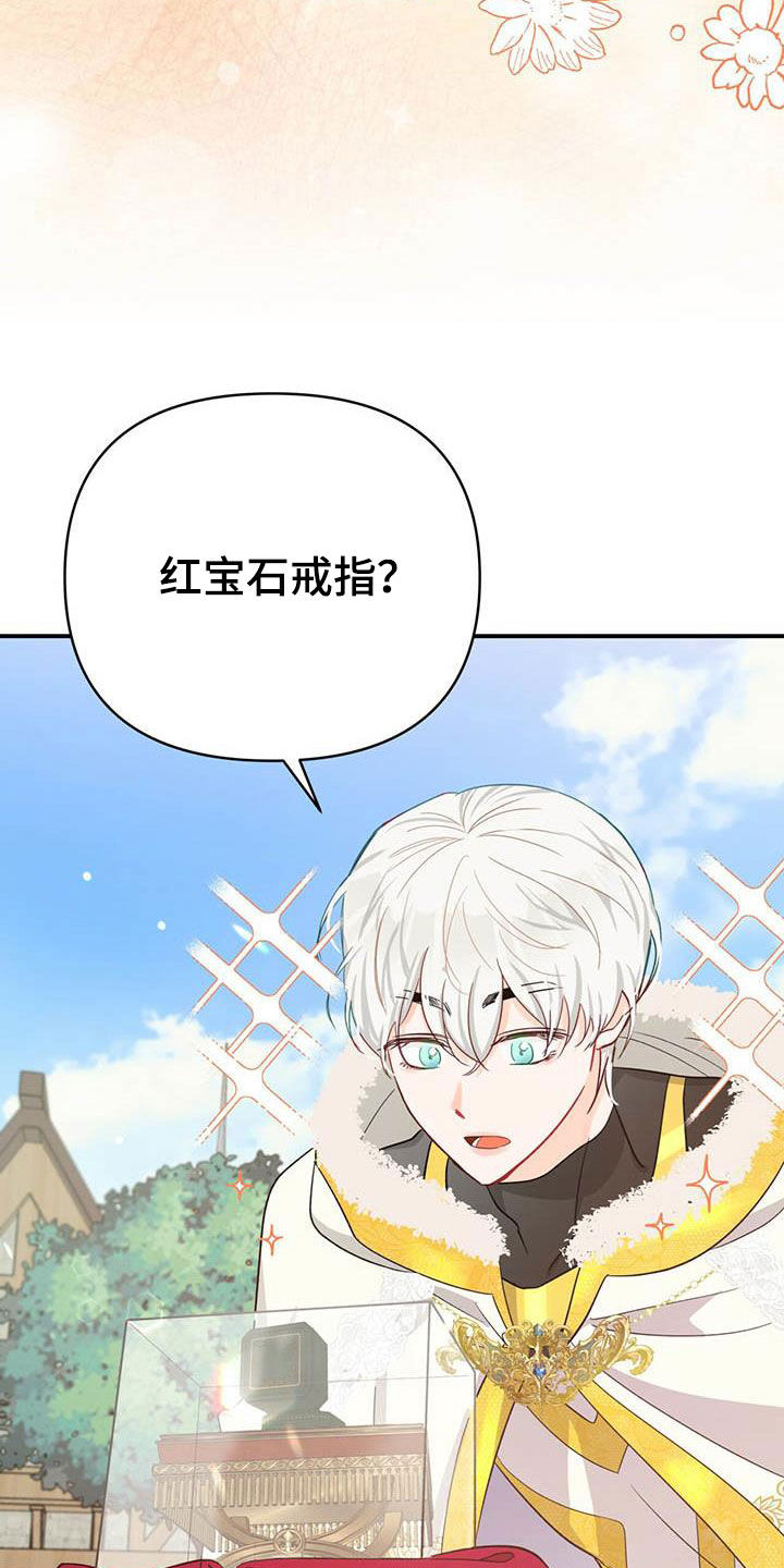 无限钻石 第39章：限定戒指 第27页