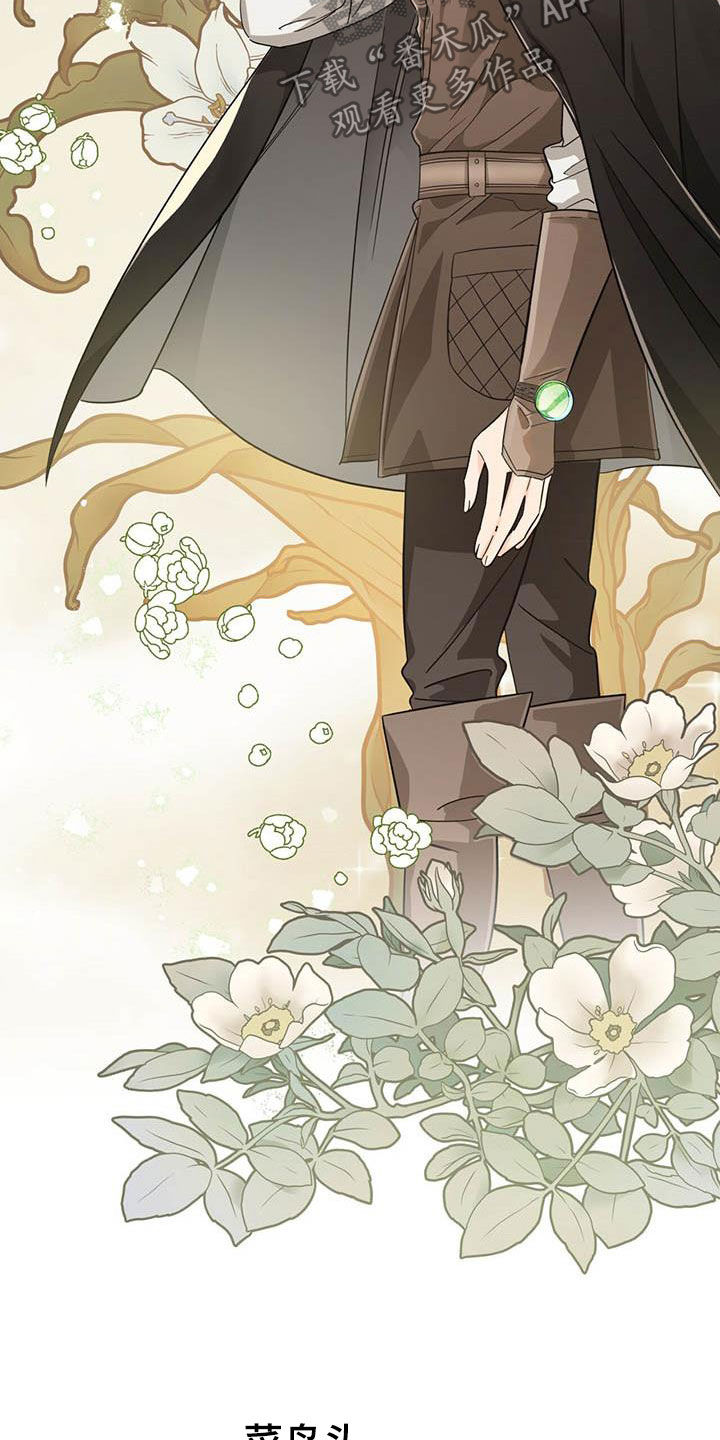 无限钻石 第40章：采购 第16页
