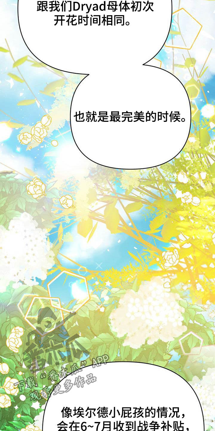 无限钻石 第40章：采购 第3页