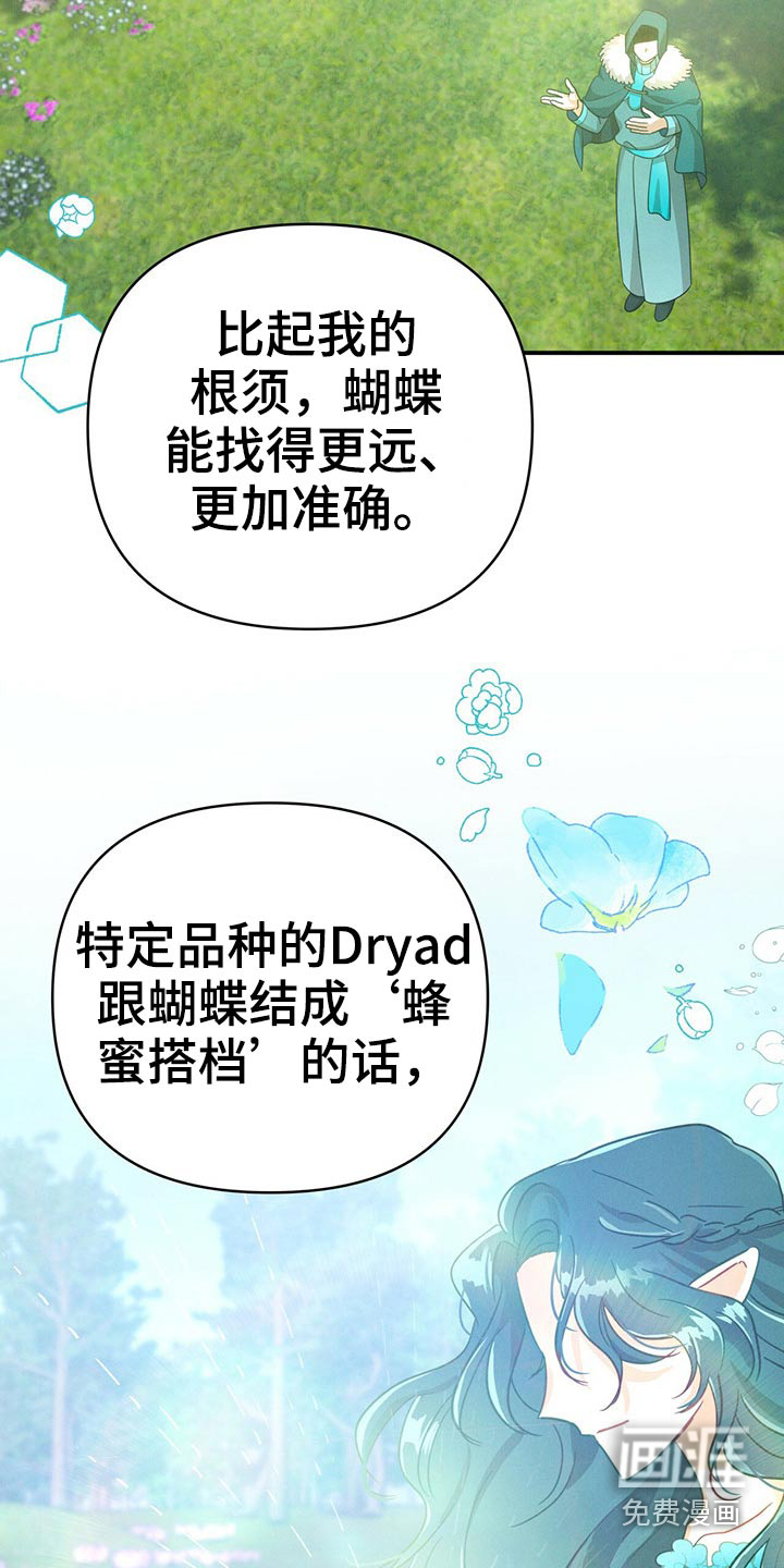无限钻石 第45章：蝴蝶 第11页
