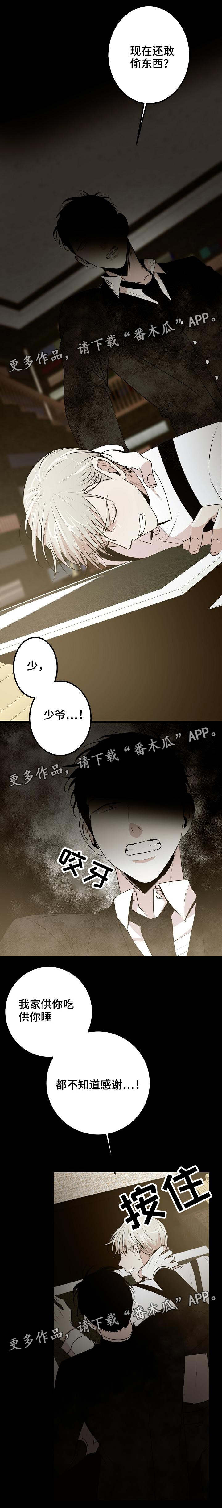 忘忧蜡烛 第34章：你们是灾星 第2页