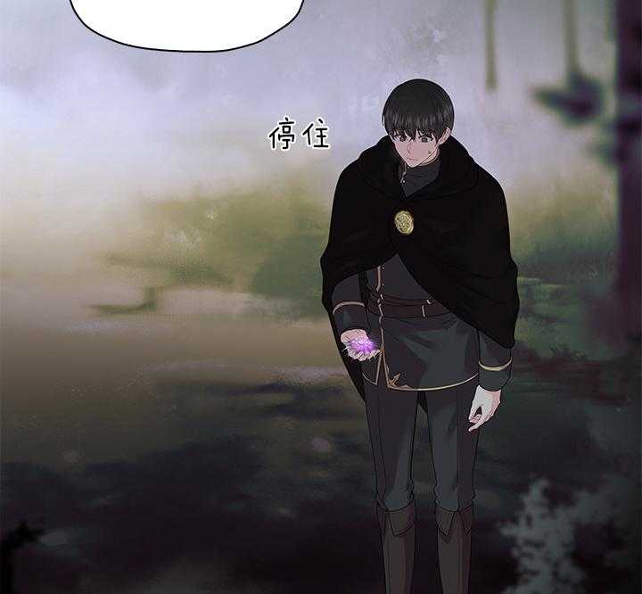 殿下的撩夫日常 第93话_一定生下你 第15页