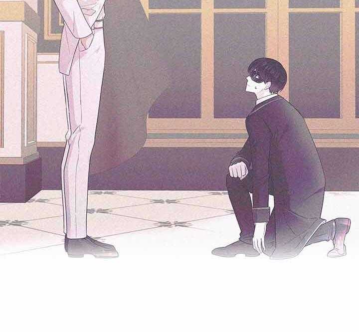 殿下的撩夫日常 第72话_我的白兔 第40页